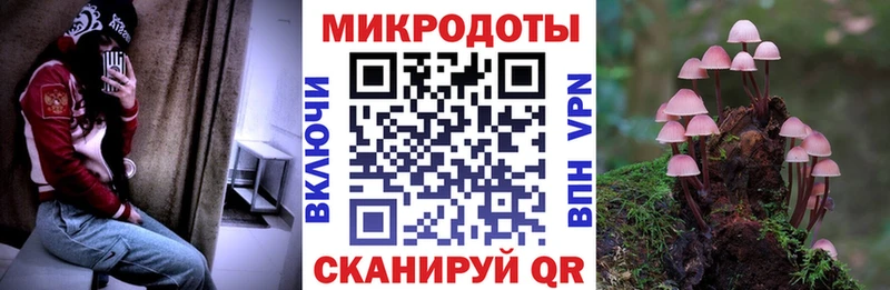 darknet состав  купить наркоту  Курган  Галлюциногенные грибы мухоморы 