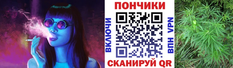 Шишки марихуана Bruce Banner  Курган 